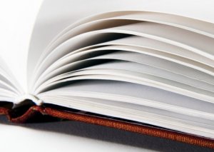 В Бишкеке презентовали книгу «Налоги 2012 для чайников» В Бишкеке презентовали книгу «Налоги 2012 для чайников»